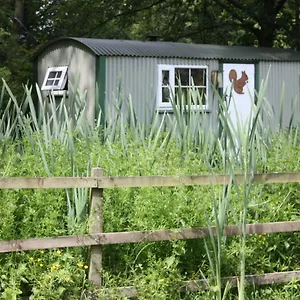  Holiday home The Squirrels Drey Shepherds Hut United Kingdom